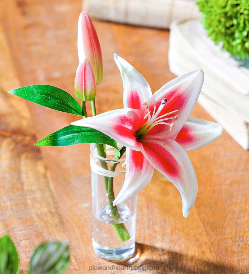 60H0822361 Plow & Hearth aspect réel, sensation de vrais lys stargazer, lot de 3 articles ménagers