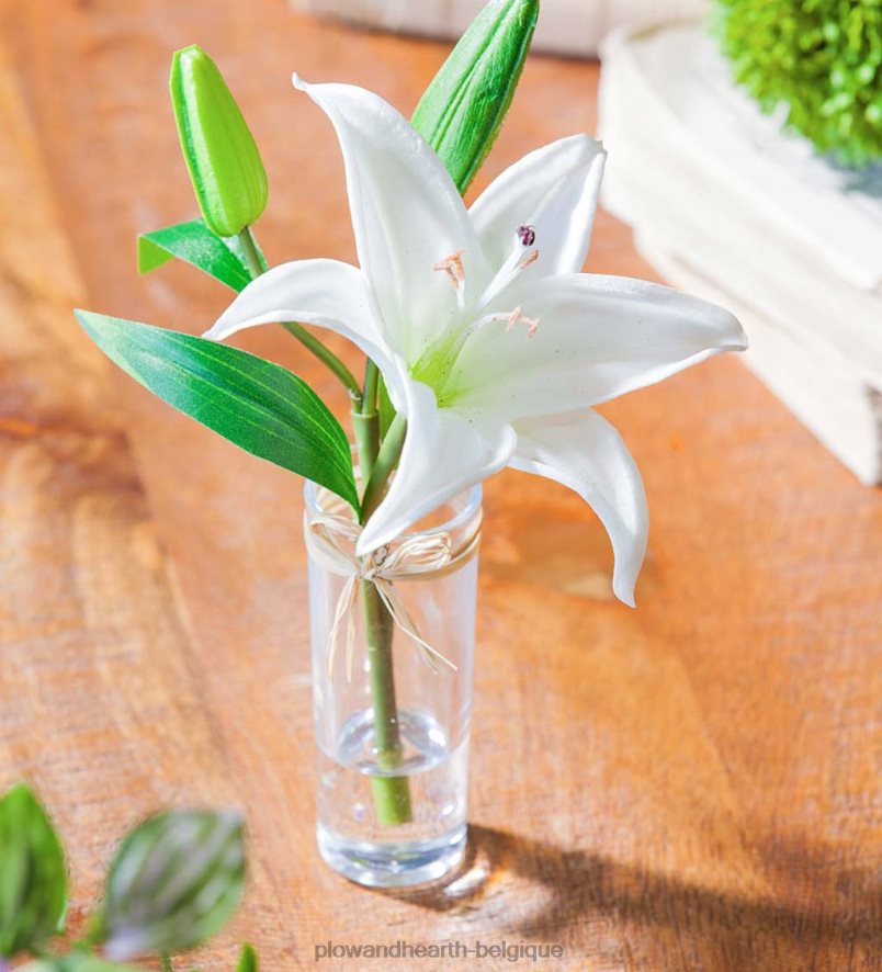 60H0822361 Plow & Hearth aspect réel, sensation de vrais lys stargazer, lot de 3 articles ménagers