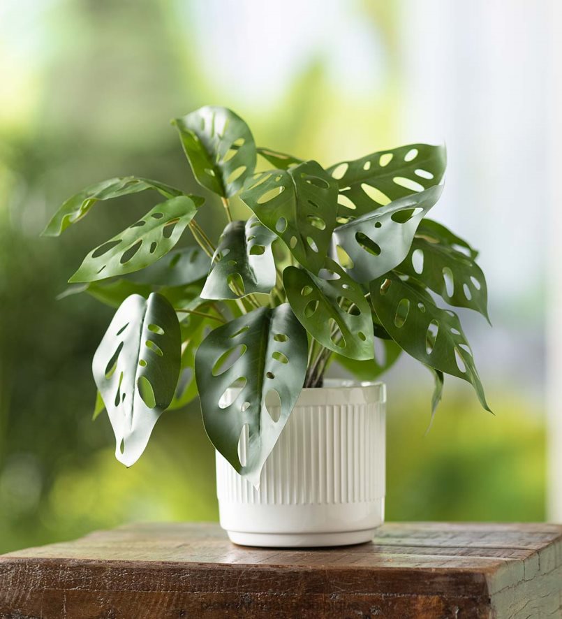 60H0822404 Plow & Hearth fausse vraie plante artificielle en pot monstera articles ménagers