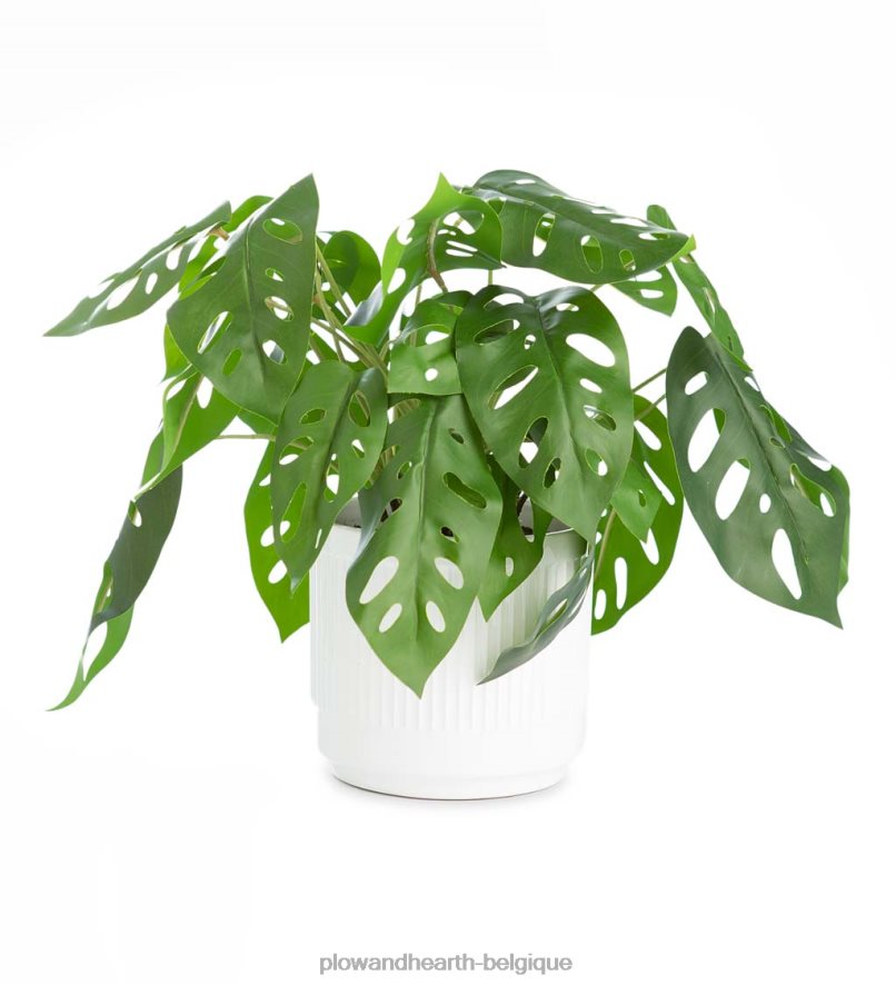 60H0822404 Plow & Hearth fausse vraie plante artificielle en pot monstera articles ménagers