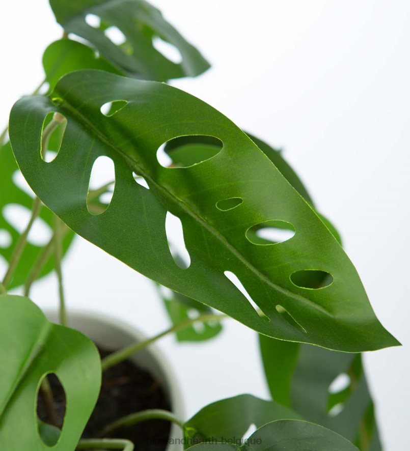 60H0822404 Plow & Hearth fausse vraie plante artificielle en pot monstera articles ménagers