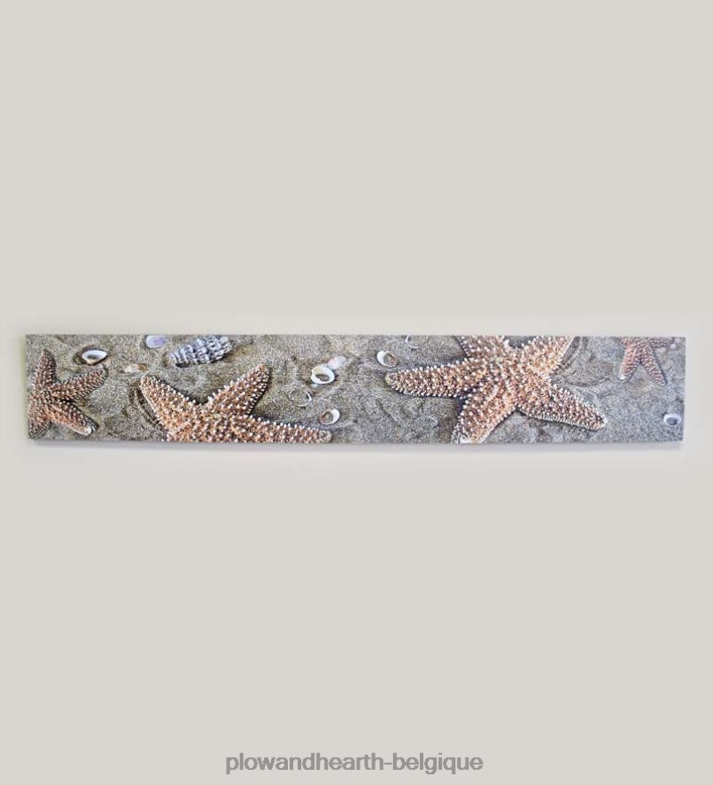 60H0822540 Plow & Hearth étoile de mer en bois de moulin art mural articles ménagers