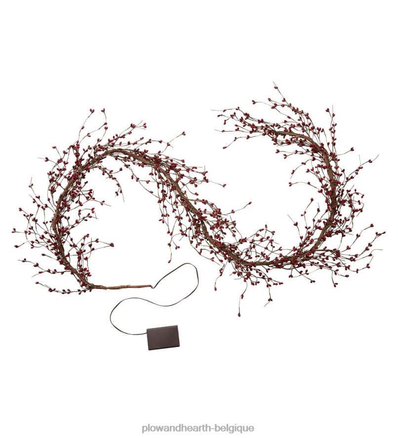 60H0821694 Plow & Hearth guirlande de Noël lumineuse à piles - blanche articles ménagers