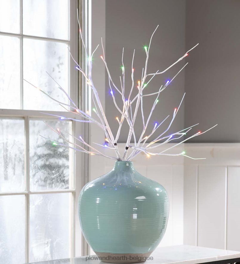 60H0821702 Plow & Hearth branches de brindilles de bouleau avec lumières à double fonction, lot de 2 articles ménagers