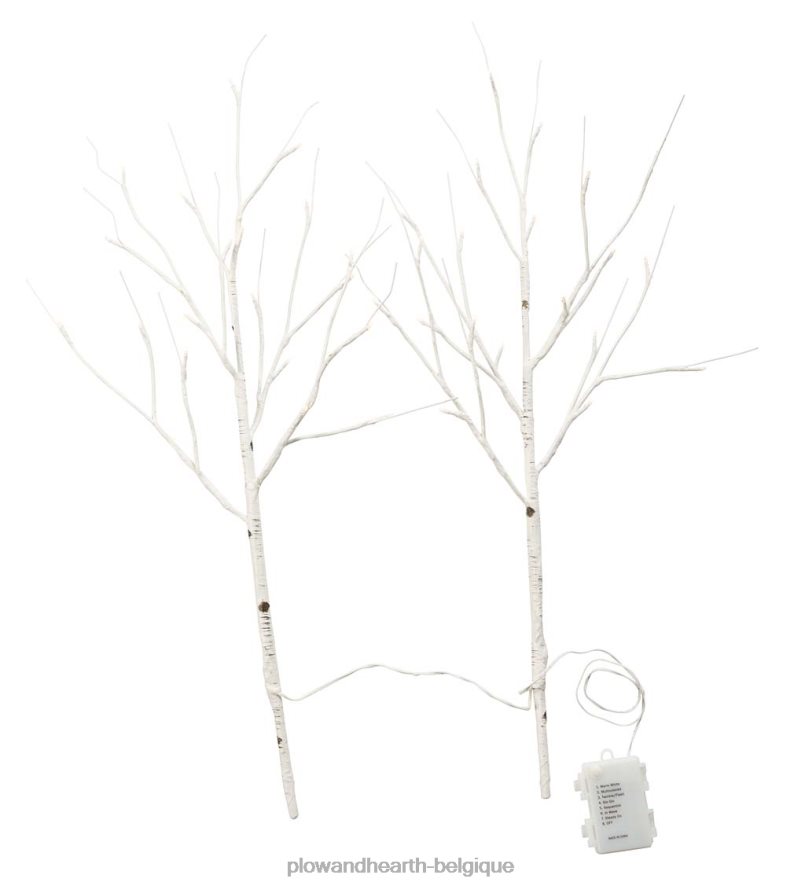 60H0821702 Plow & Hearth branches de brindilles de bouleau avec lumières à double fonction, lot de 2 articles ménagers