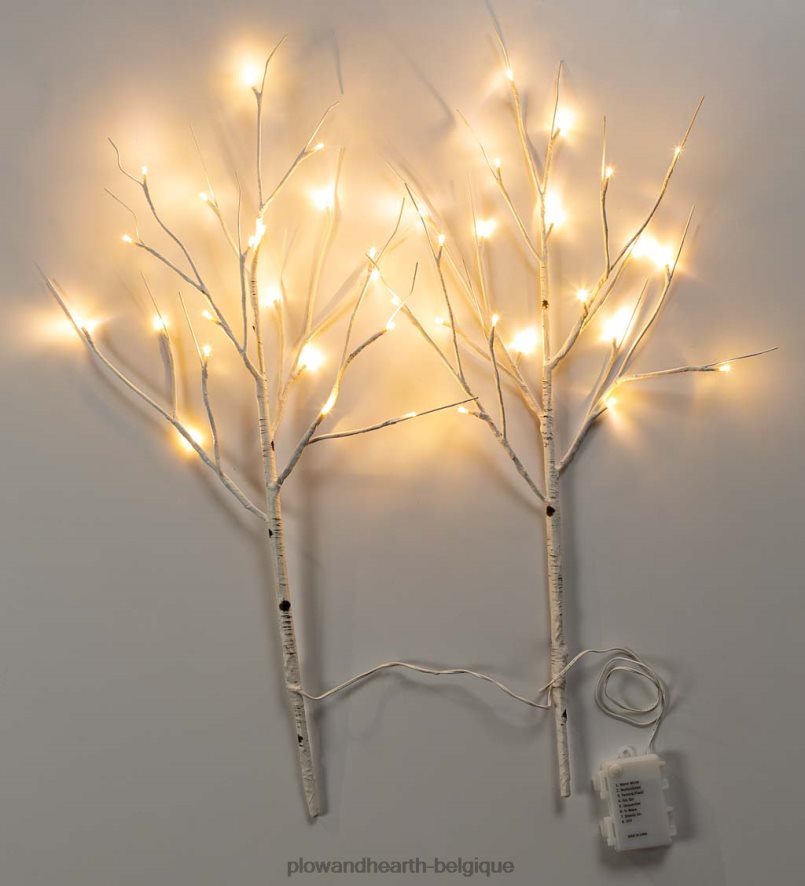 60H0821702 Plow & Hearth branches de brindilles de bouleau avec lumières à double fonction, lot de 2 articles ménagers