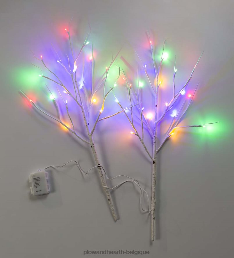 60H0821702 Plow & Hearth branches de brindilles de bouleau avec lumières à double fonction, lot de 2 articles ménagers