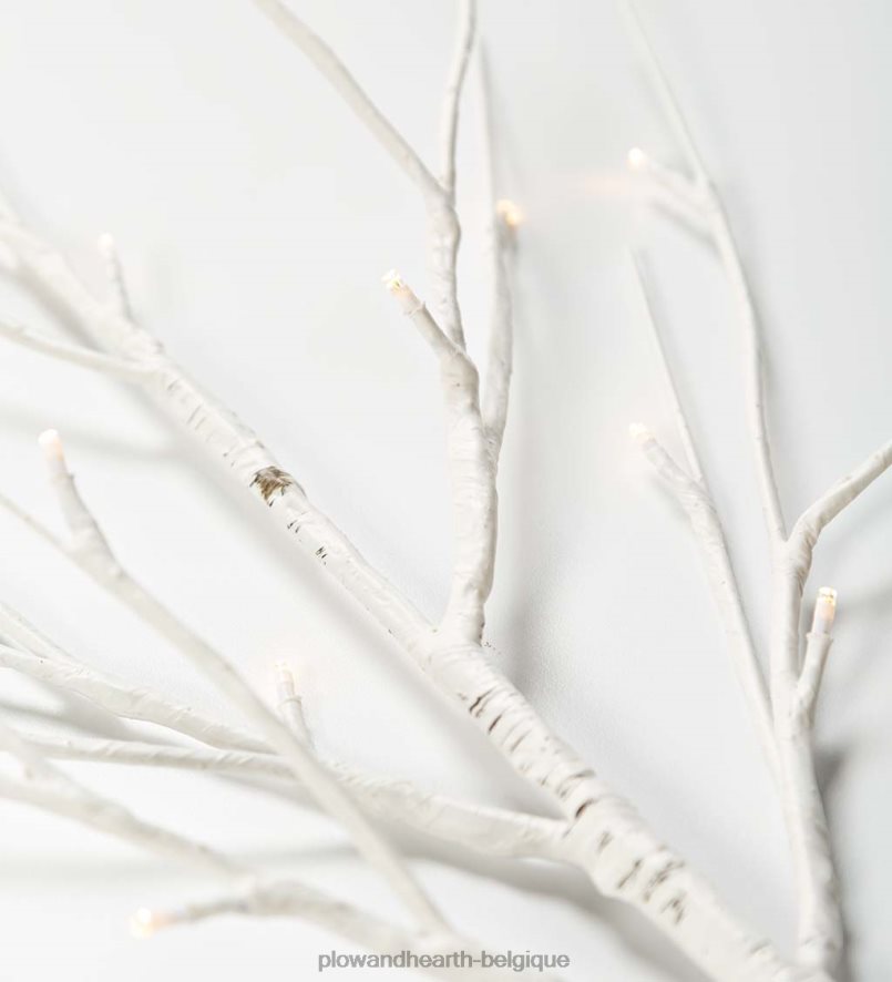 60H0821702 Plow & Hearth branches de brindilles de bouleau avec lumières à double fonction, lot de 2 articles ménagers