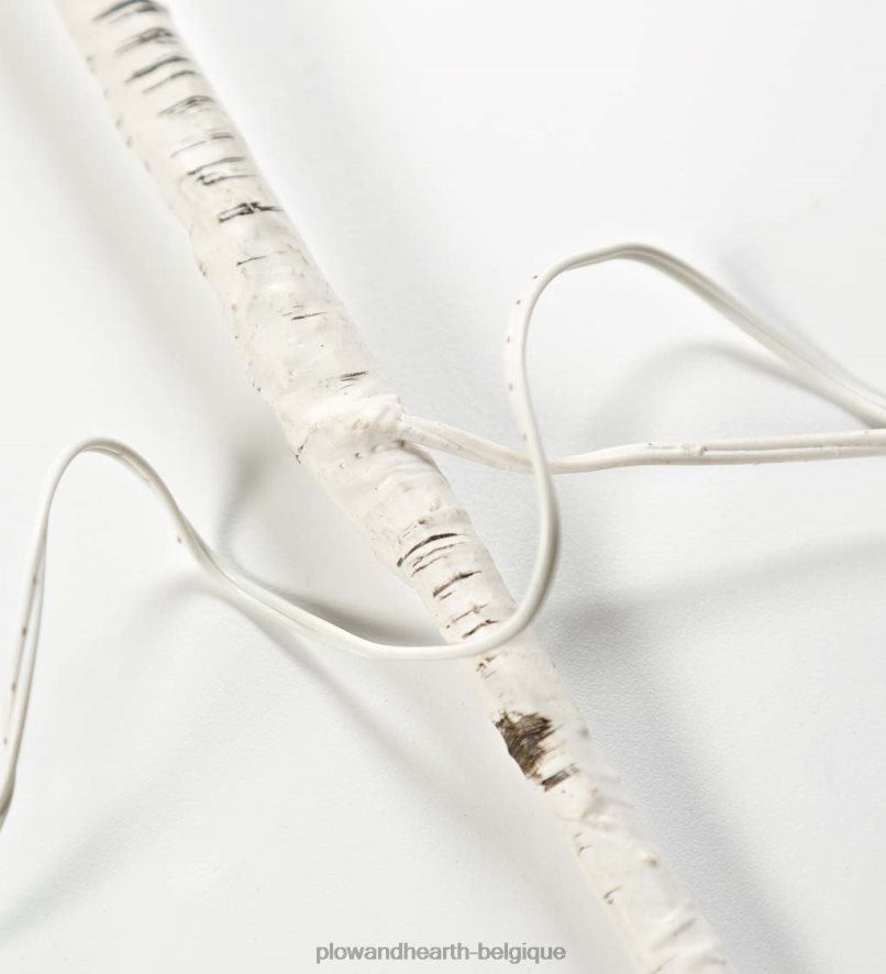 60H0821702 Plow & Hearth branches de brindilles de bouleau avec lumières à double fonction, lot de 2 articles ménagers