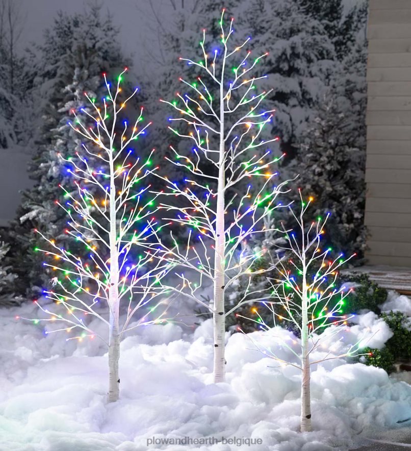 60H0821481 Plow & Hearth bouleau intérieur/extérieur avec lumières blanc chaud et multicolores articles ménagers