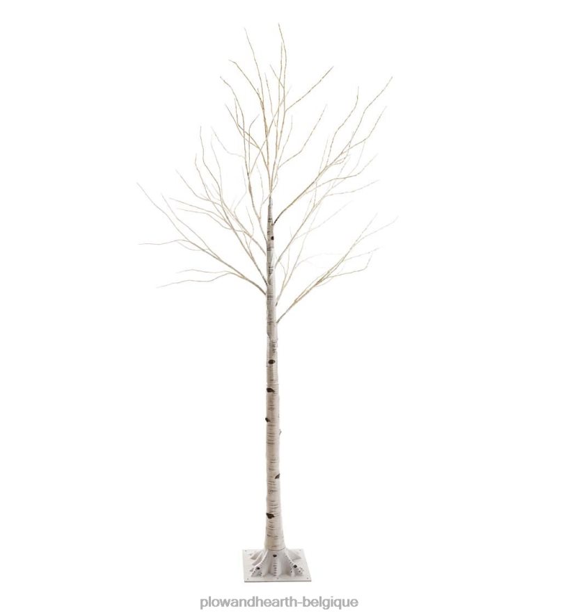 60H0821481 Plow & Hearth bouleau intérieur/extérieur avec lumières blanc chaud et multicolores articles ménagers