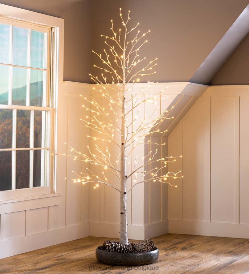 60H0821481 Plow & Hearth bouleau intérieur/extérieur avec lumières blanc chaud et multicolores articles ménagers