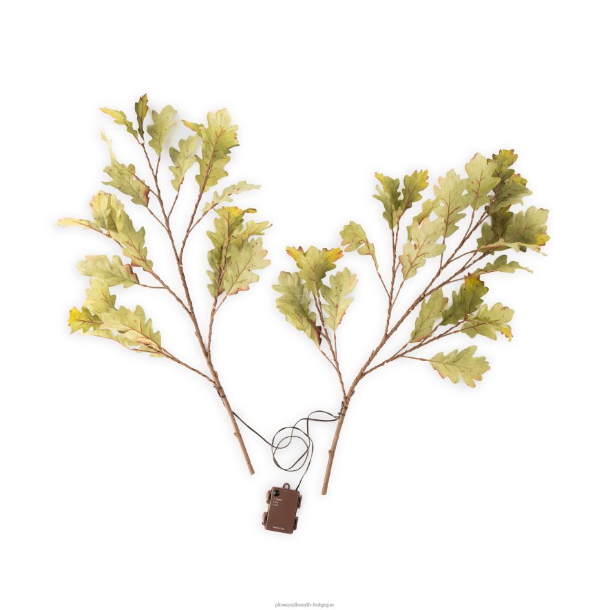 60H0821582 Plow & Hearth Branches de chêne mousse éclairées intérieur/extérieur, lot de 2 articles ménagers