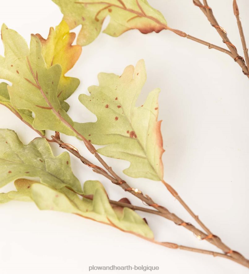 60H0821582 Plow & Hearth Branches de chêne mousse éclairées intérieur/extérieur, lot de 2 articles ménagers