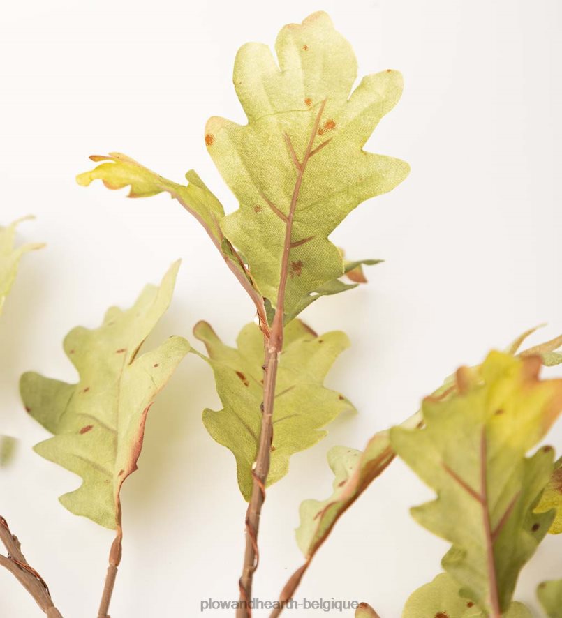 60H0821582 Plow & Hearth Branches de chêne mousse éclairées intérieur/extérieur, lot de 2 articles ménagers