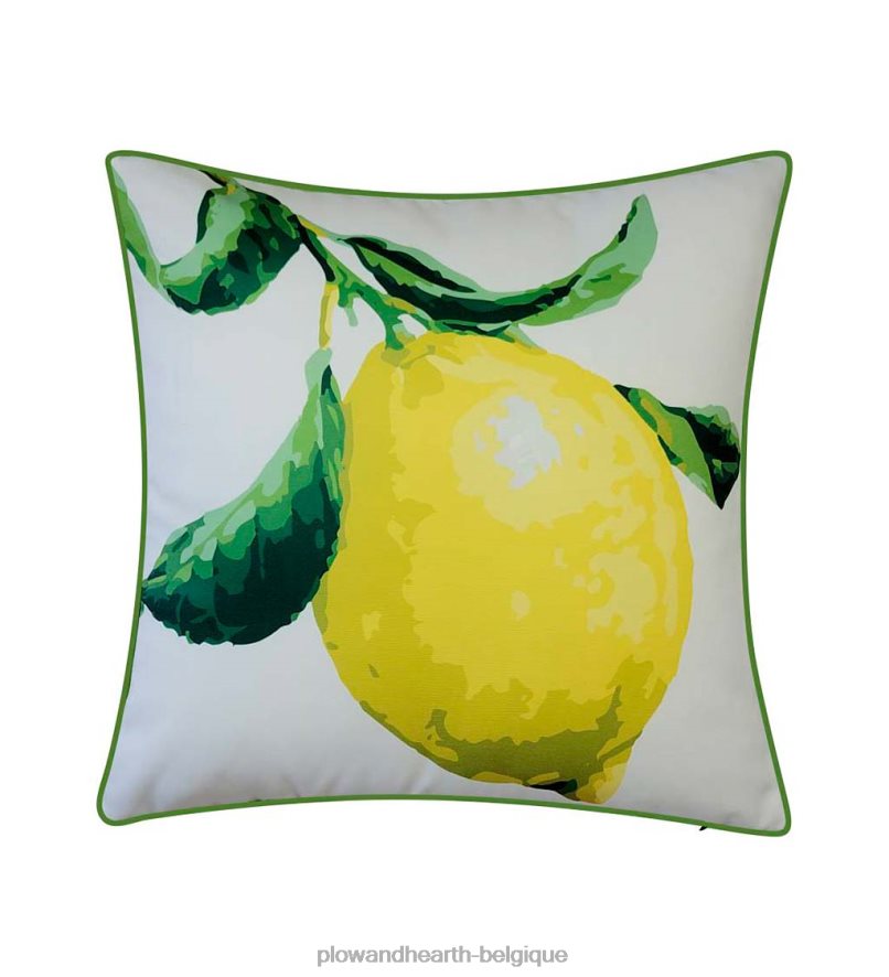 60H0821262 Plow & Hearth citron du jardin botanique de new york coussin articles ménagers