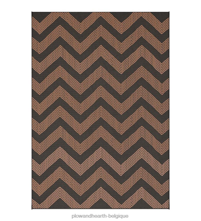 60H0821437 Plow & Hearth Tapis à grand tirage intérieur/extérieur, 5' x 8' - brun articles ménagers