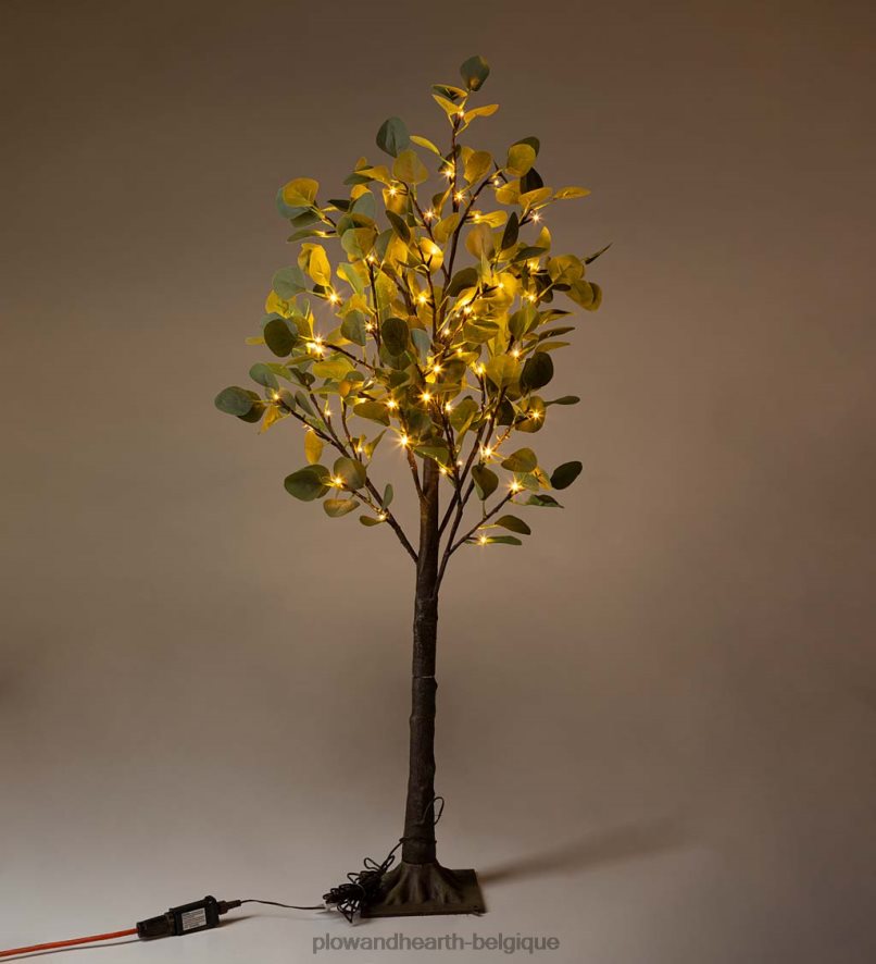 60H0821679 Plow & Hearth Eucalyptus éclairés électriquement intérieur/extérieur articles ménagers