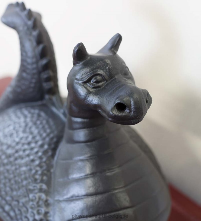 60H0822837 Plow & Hearth Poêle à vapeur dragon en fonte - noir accessoires