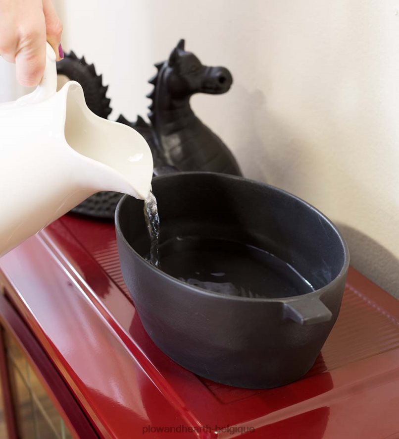 60H0822837 Plow & Hearth Poêle à vapeur dragon en fonte - noir accessoires