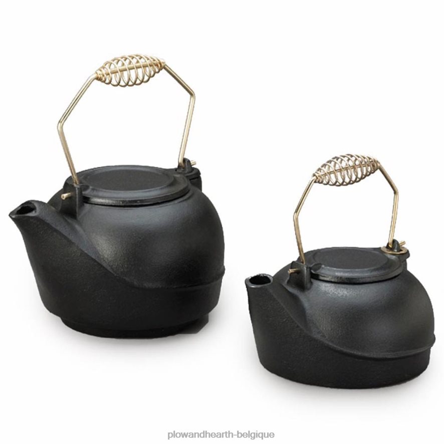 60H0822839 Plow & Hearth bouilloire à vapeur en fonte accessoires