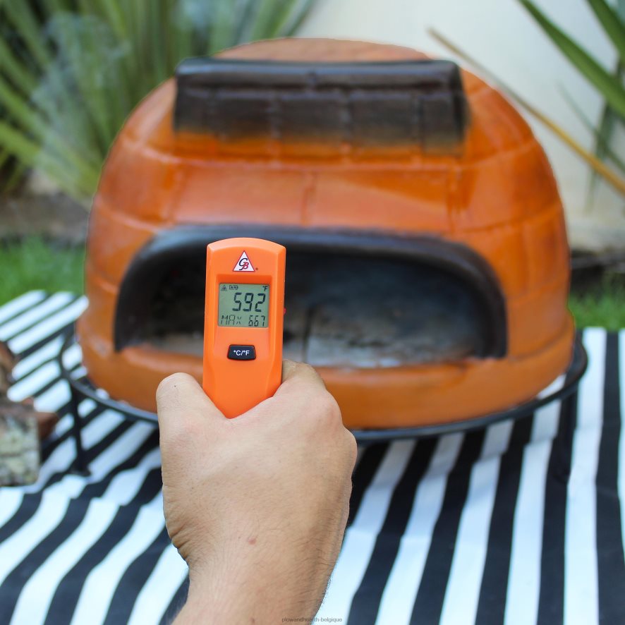 60H0822950 Plow & Hearth four à pizza talavera sienne accessoires