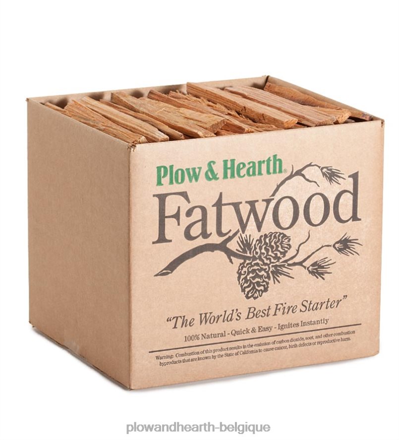 60H0822711 Plow & Hearth Caddie Cypher Fatwood avec 4 lb. bois gras cheminée