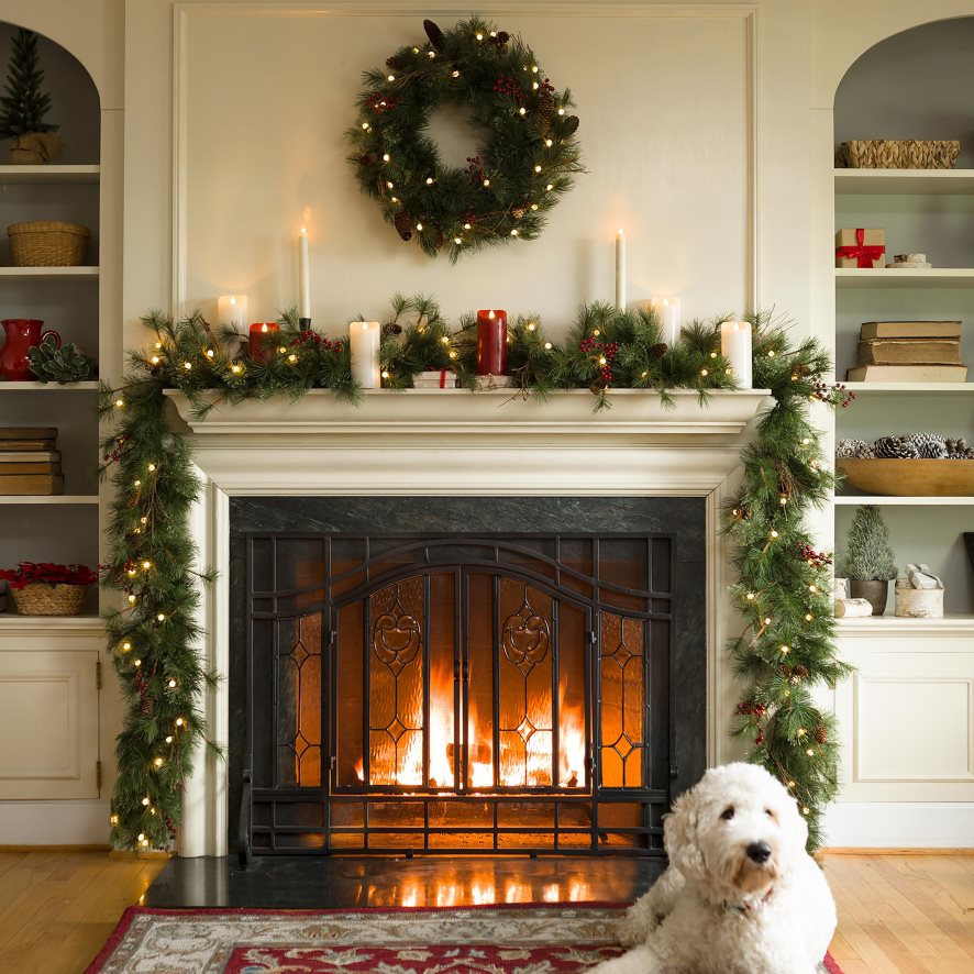 60H0822876 Plow & Hearth écran de cheminée à deux portes avec panneaux floraux en verre cheminée
