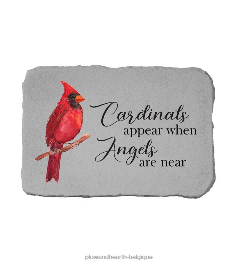 60H082215 Plow & Hearth Pierre de jardin commémorative cardinale avec personnalisation facultative cour et jardin