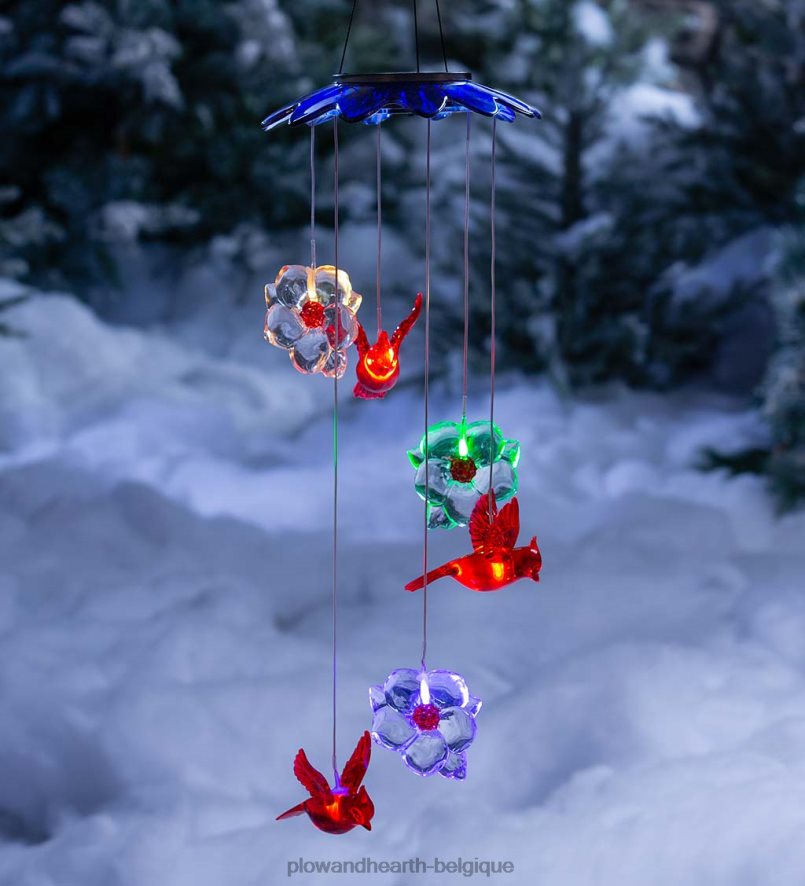 60H082303 Plow & Hearth mobile solaire aux couleurs changeantes avec cardinaux et fleurs cour et jardin
