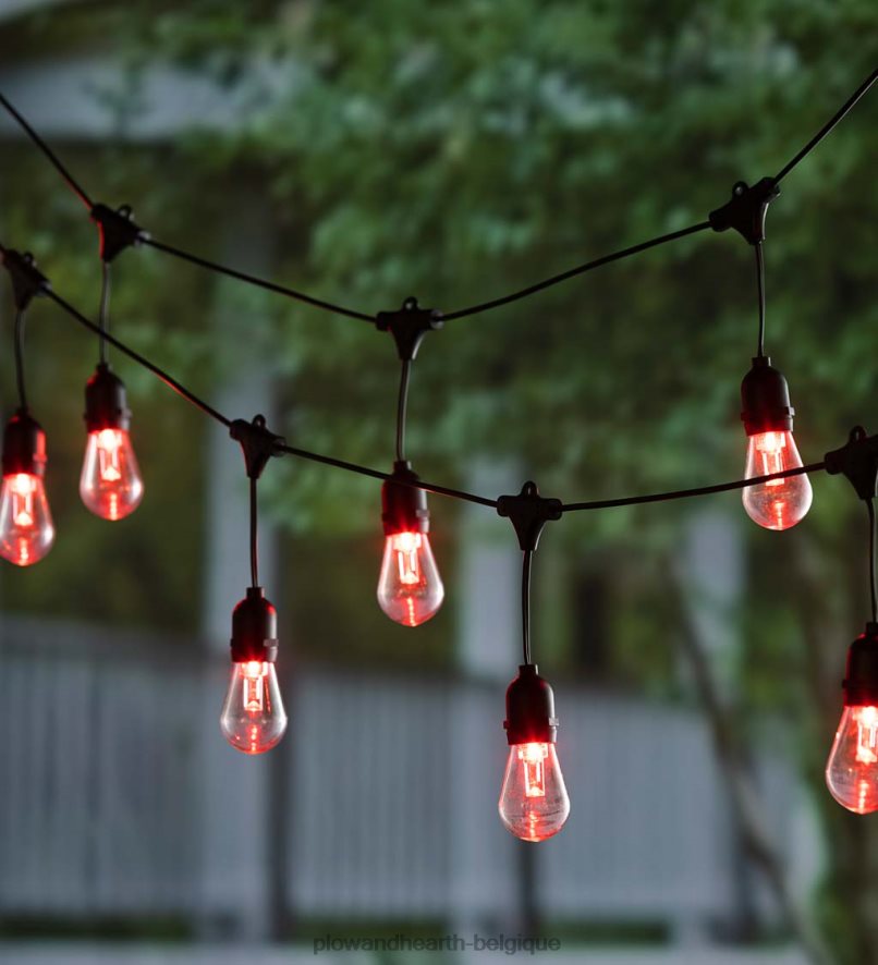 60H082409 Plow & Hearth guirlandes solaires multicolores cour et jardin