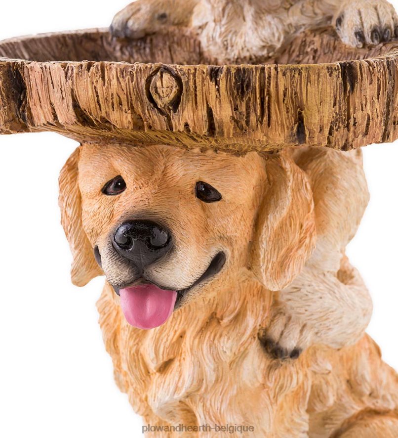 60H08290 Plow & Hearth bain d'oiseaux pour chiots ludiques cour et jardin