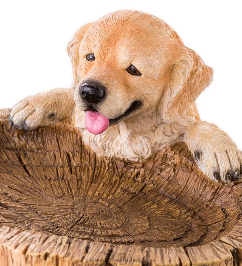 60H08290 Plow & Hearth bain d'oiseaux pour chiots ludiques cour et jardin