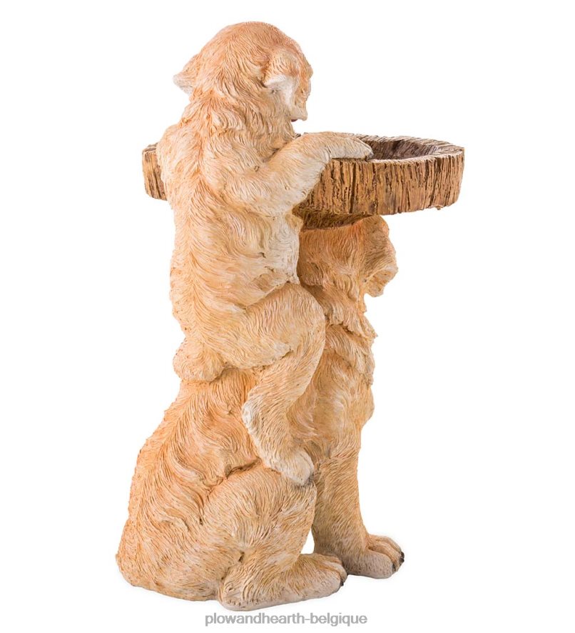 60H08290 Plow & Hearth bain d'oiseaux pour chiots ludiques cour et jardin