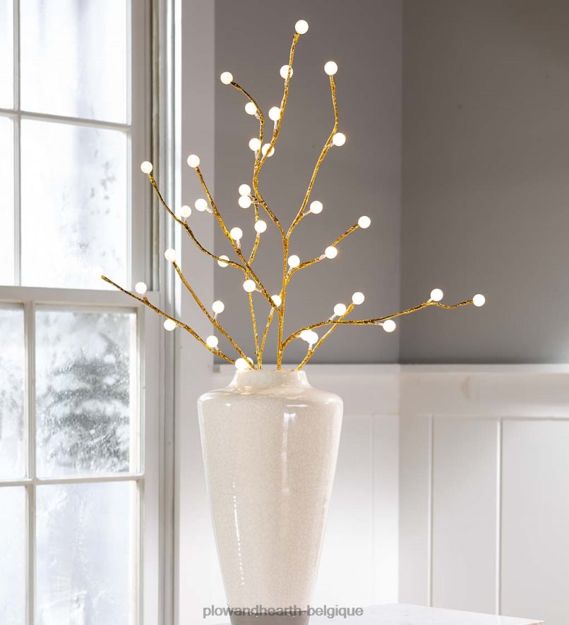 60H08227 Plow & Hearth branches métalliques dorées intérieur/extérieur avec lumières blanc chaud, lot de 2 cour et jardin