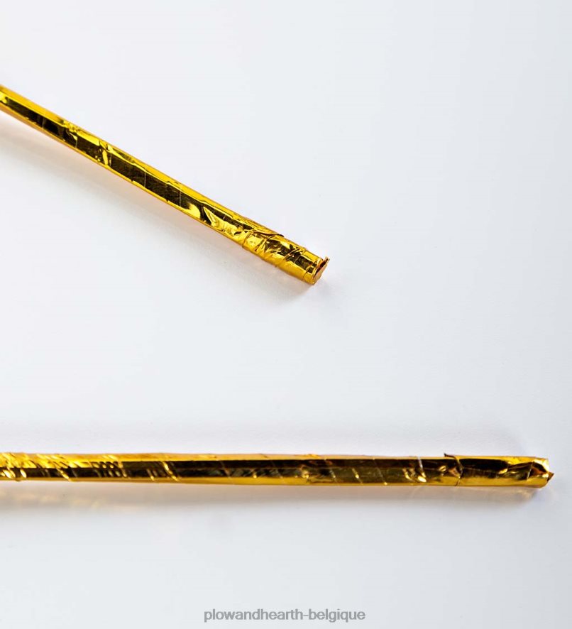 60H08227 Plow & Hearth branches métalliques dorées intérieur/extérieur avec lumières blanc chaud, lot de 2 cour et jardin