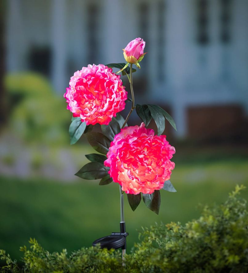 60H082153 Plow & Hearth Piquet de jardin solaire pivoine rose foncé cour et jardin