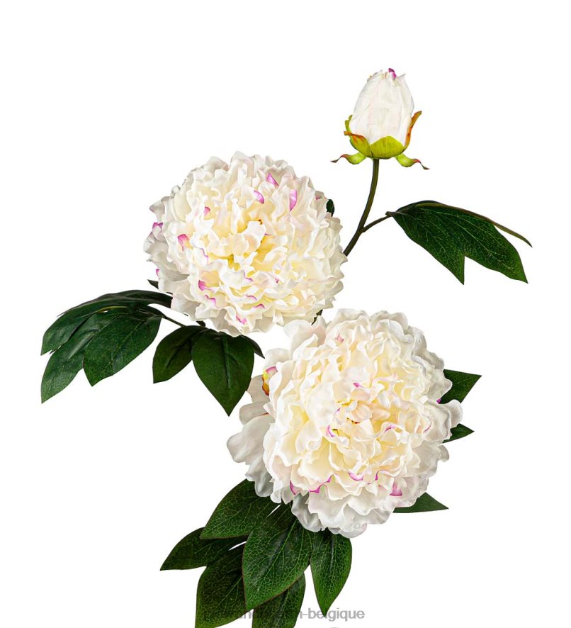 60H082171 Plow & Hearth piquet de jardin solaire pivoine blanche cour et jardin