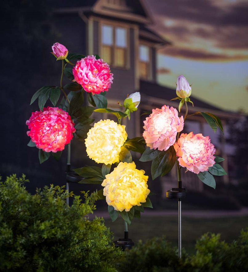 60H082171 Plow & Hearth piquet de jardin solaire pivoine blanche cour et jardin