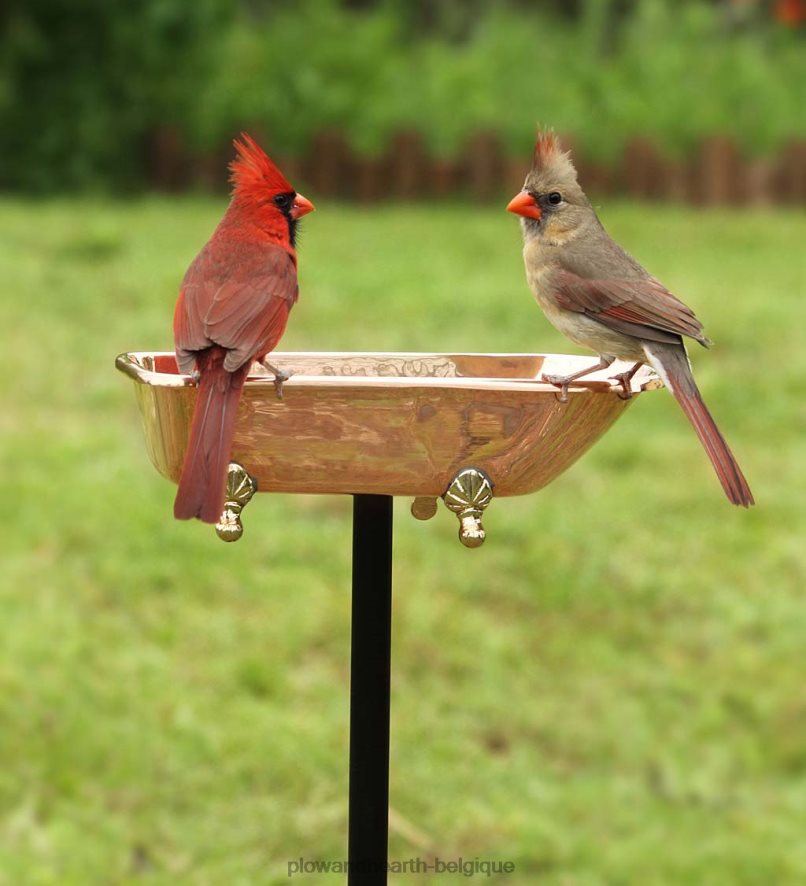 60H082844 Plow & Hearth bain d'oiseaux splish splash, cuivre poli - cuivre cour et jardin