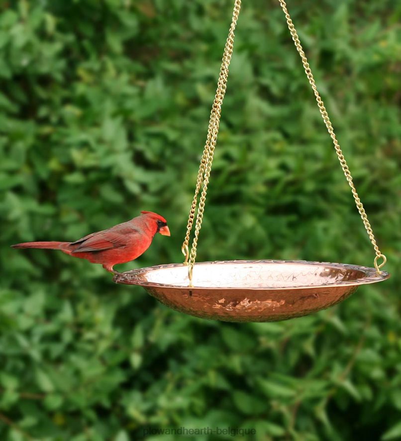 60H082852 Plow & Hearth Bain d'oiseaux suspendu en cuivre pur sur 17 longues chaînes en laiton avec crochet cour et jardin