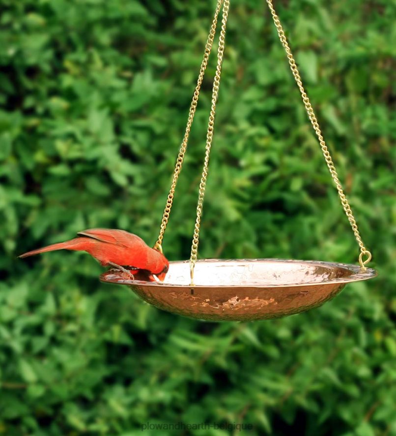60H082852 Plow & Hearth Bain d'oiseaux suspendu en cuivre pur sur 17 longues chaînes en laiton avec crochet cour et jardin