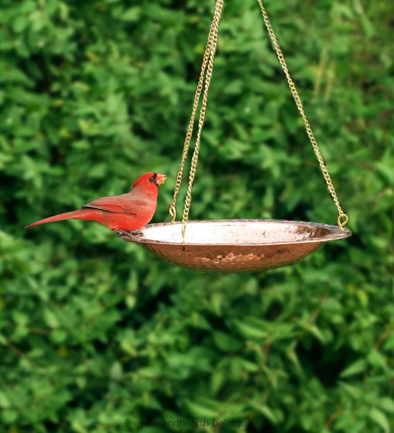 60H082852 Plow & Hearth Bain d'oiseaux suspendu en cuivre pur sur 17 longues chaînes en laiton avec crochet cour et jardin