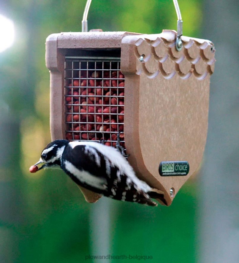 60H082807 Plow & Hearth Mangeoire pour oiseaux en forme de gland en poly-bois recyclé - marron cour et jardin