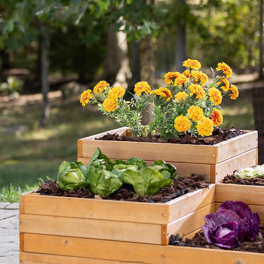 60H082909 Plow & Hearth jardinière de jardin surélevée autonome à quatre cubes en bois cour et jardin