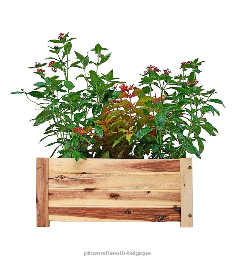 60H082918 Plow & Hearth jardinière rectangulaire en bois d'acacia cour et jardin