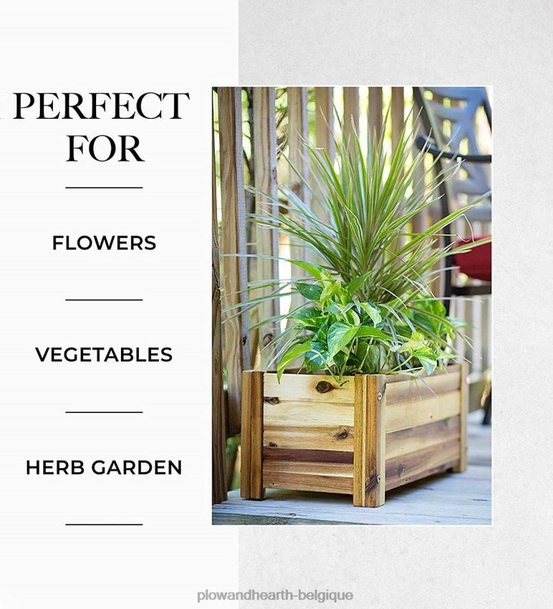 60H082918 Plow & Hearth jardinière rectangulaire en bois d'acacia cour et jardin