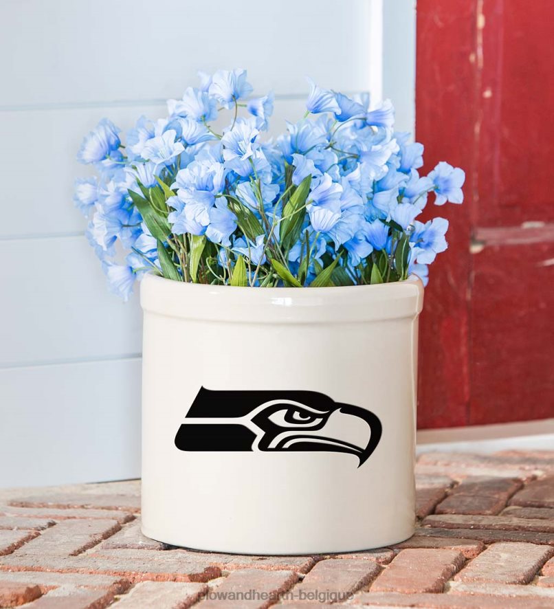 60H082976 Plow & Hearth pot en grès avec logo de l'équipe nfl - cardinaux de l'arizona cour et jardin