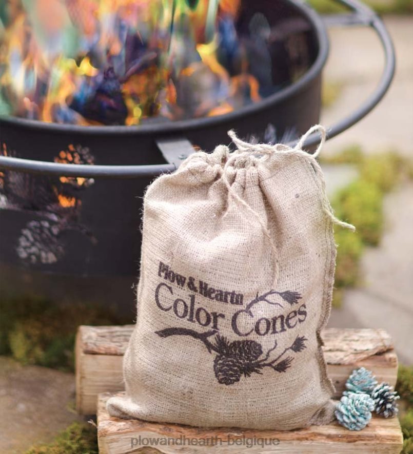 60H0822992 Plow & Hearth cônes de couleur qui créent des flammes bleues et vertes dans la cheminée saisonniers et cadeaux