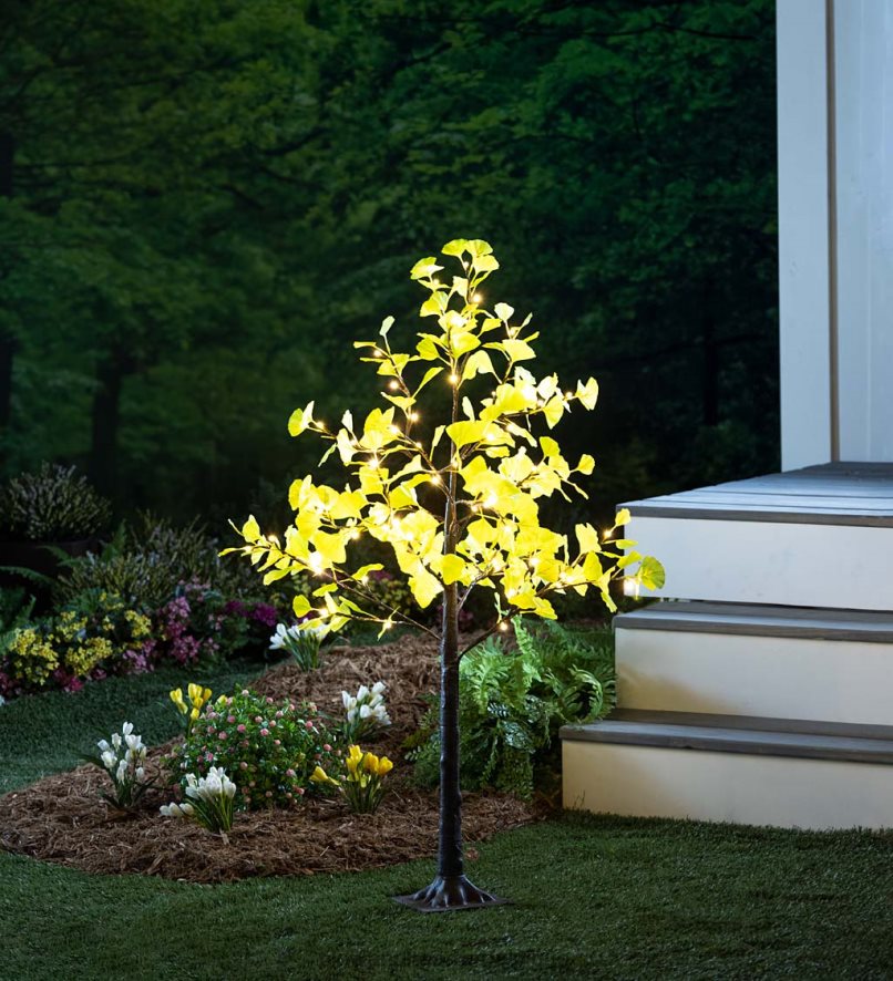 60H0823213 Plow & Hearth Arbre ginkgo vert éclairé électriquement, 4'h, intérieur/extérieur saisonniers et cadeaux